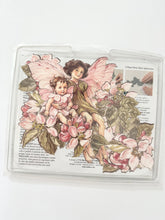 Load image into Gallery viewer, Vintage Pink &amp; Green Fairy Wallpaper Decor Cutouts
